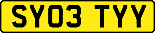 SY03TYY