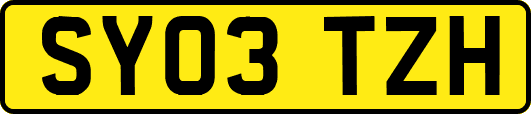 SY03TZH
