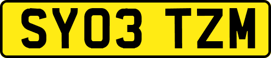 SY03TZM
