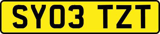 SY03TZT
