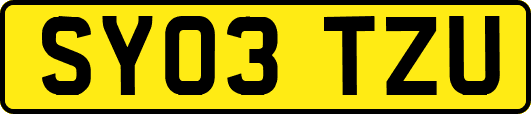 SY03TZU