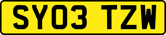 SY03TZW