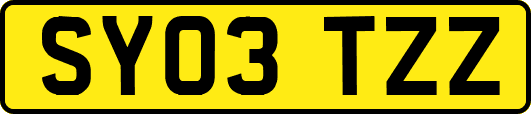SY03TZZ
