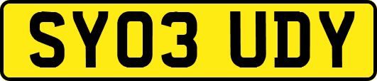 SY03UDY