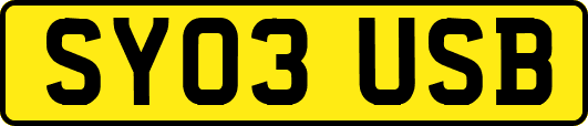 SY03USB