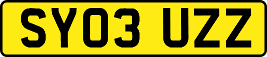 SY03UZZ