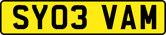 SY03VAM
