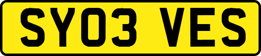 SY03VES