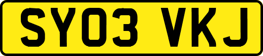 SY03VKJ