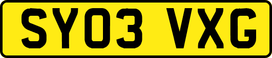 SY03VXG