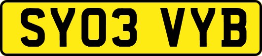 SY03VYB