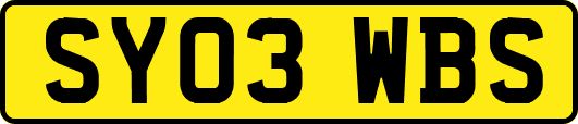 SY03WBS