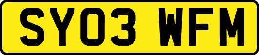 SY03WFM