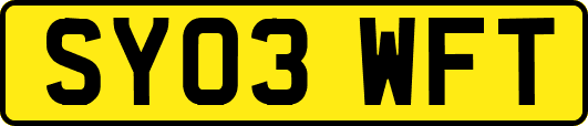SY03WFT