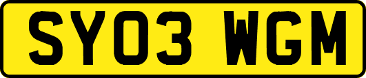 SY03WGM