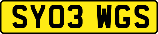 SY03WGS