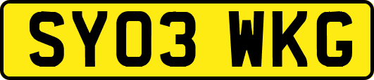 SY03WKG