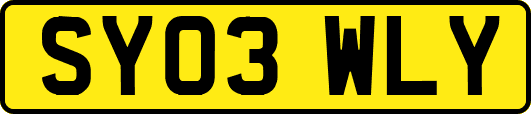 SY03WLY