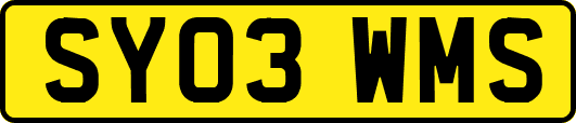 SY03WMS