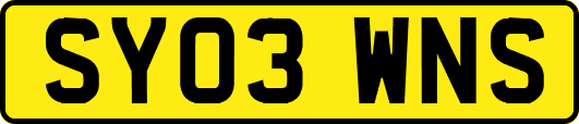 SY03WNS