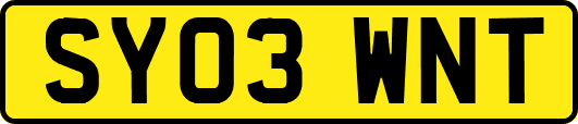SY03WNT