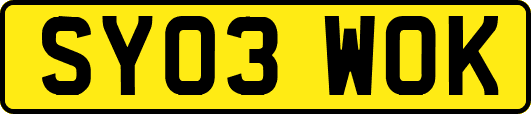 SY03WOK