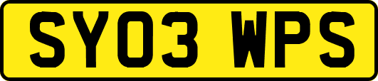 SY03WPS