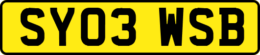 SY03WSB