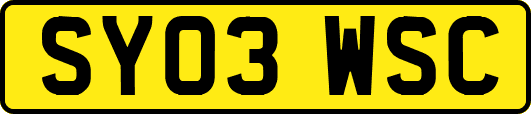 SY03WSC
