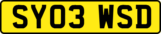 SY03WSD