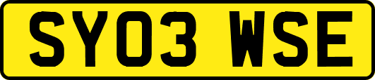 SY03WSE