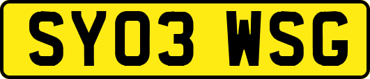SY03WSG