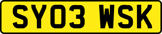 SY03WSK