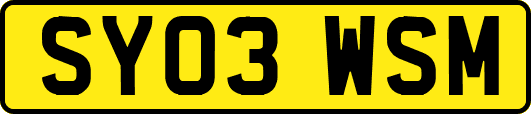SY03WSM