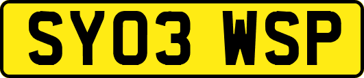 SY03WSP