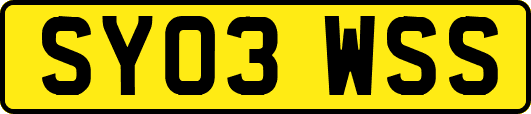 SY03WSS