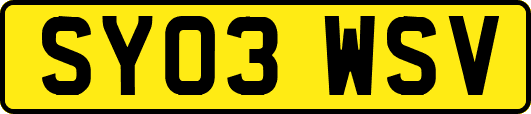 SY03WSV