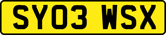 SY03WSX