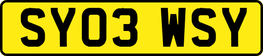 SY03WSY
