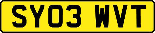 SY03WVT