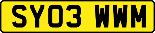 SY03WWM