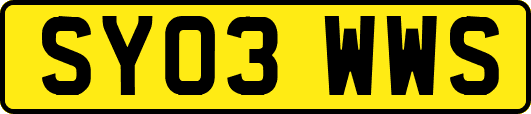 SY03WWS