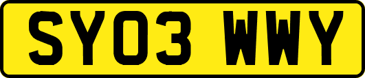 SY03WWY