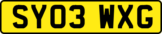 SY03WXG