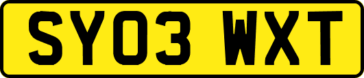 SY03WXT