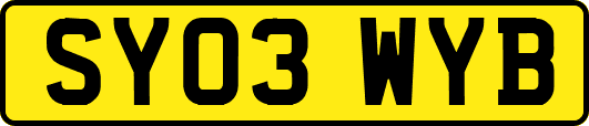 SY03WYB