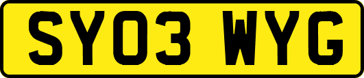 SY03WYG