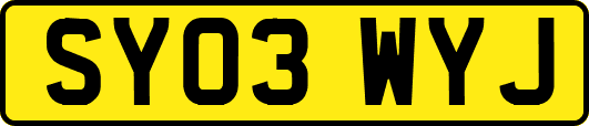 SY03WYJ