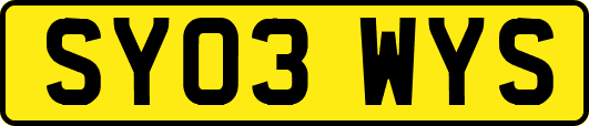 SY03WYS