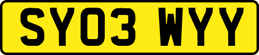 SY03WYY